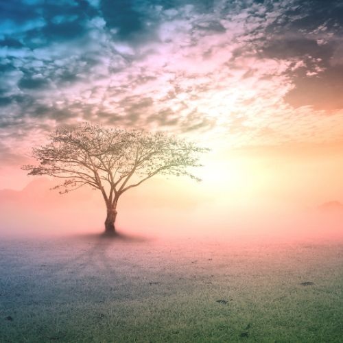 8 beautiful cathedrals explored